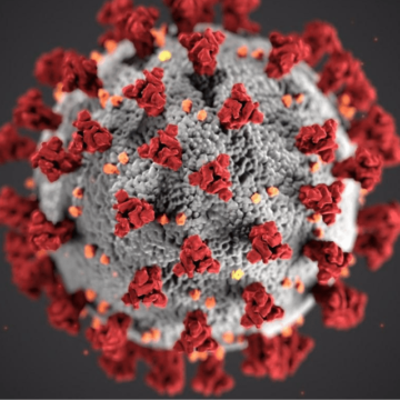 Is Coronavirus a Force Majeure event?