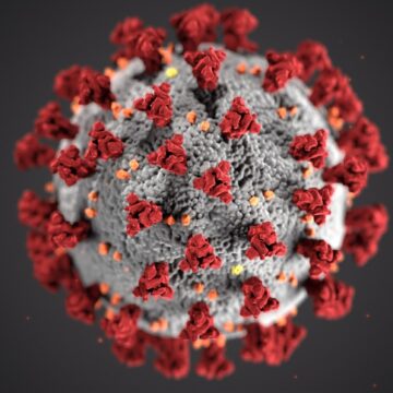 Koronavirus fors-major hal sayıla bilərmi?