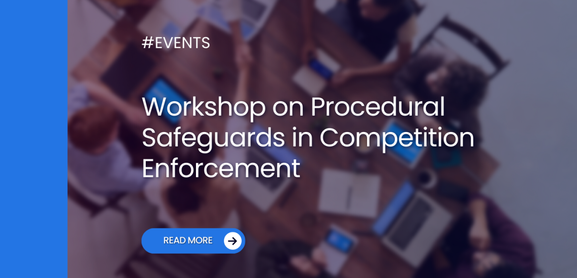Workshop on Procedural Safeguards in Competition Enforcement