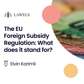 The EU Foreign Subsidy Regulation: what does it stand for?