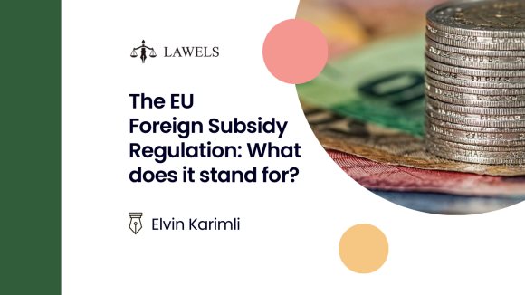 The EU Foreign Subsidy Regulation: what does it stand for?