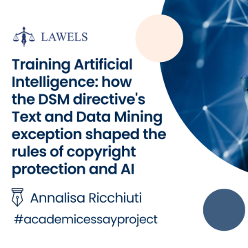 Training artificial intelligence: how the DSM directive’s Text and Data Mining exception shaped the rules of AI Training and possible future outcomes
